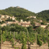 Vignoble Gigondas