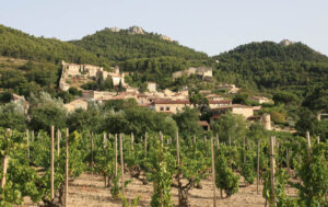 Vignoble Gigondas