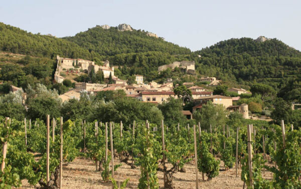 Vignoble Gigondas