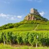 vignoble Mâcon village