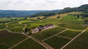 Vignoble Jura